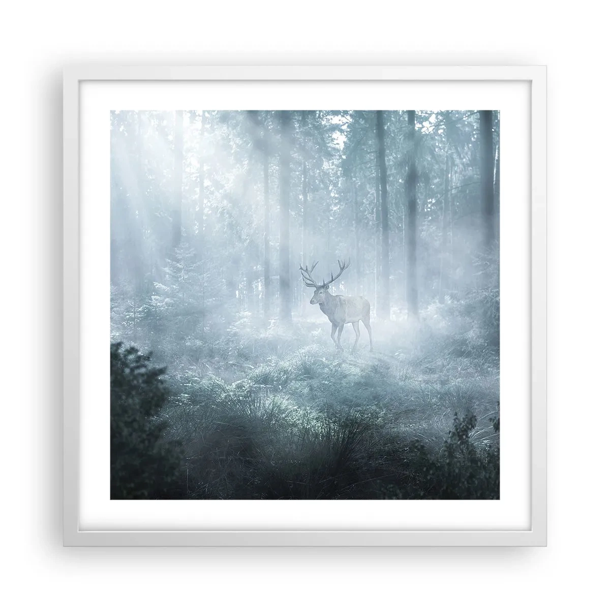 Affisch i vit ram - Morgonrond runt godset - 50x50 cm