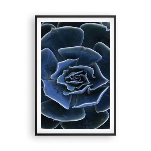 Affisch i svart ram - Öknens blomma - 61x91 cm