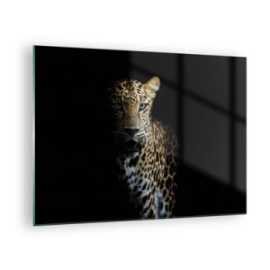 Glastavla - Bild på glas - Lejon i skuggan - 70x50cm - Mörk skönhet - Modern väggdekoration för vardagsrum och sovrum ARTTOR