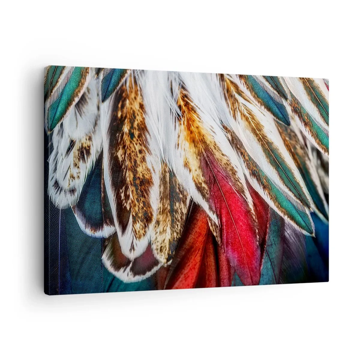 Canvastavla - Bild på duk - flyghemligheter - 70x50 cm