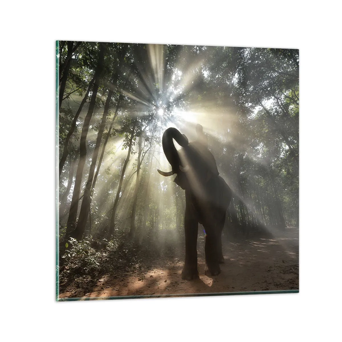 Glastavla - Bild på glas - Under en lycklig stjärna - 30x30 cm