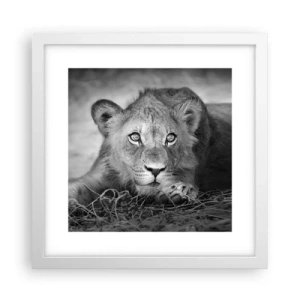 Affisch i vit ram - Kunglig valp - 30x30 cm