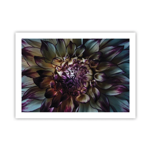 Affisch - Blommande ungdom - 70x50 cm