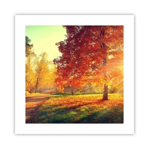 Affisch - Rött är vackert - 40x40 cm