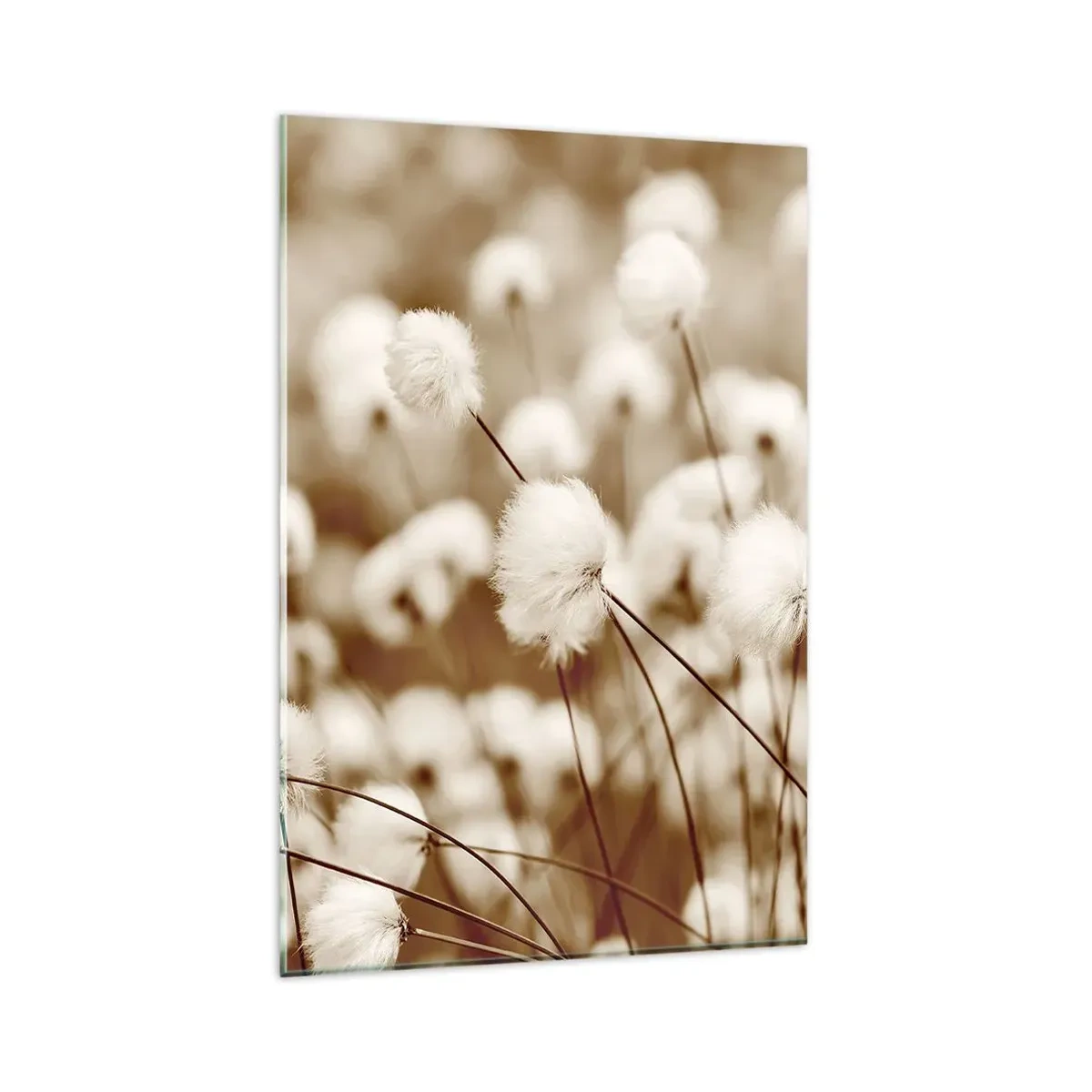 Glastavla - Bild på glas - Fluffig åkermark - 80x120 cm