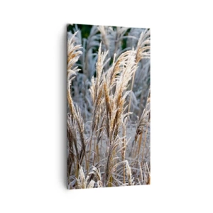 Canvastavla - Bild på duk - Frostprydda - 45x80 cm