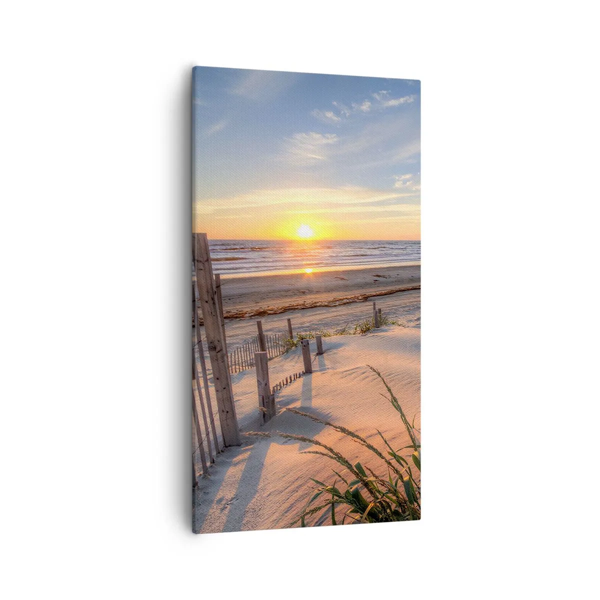 Canvastavla - Bild på duk - Vindens sken och skugga - 55x100 cm