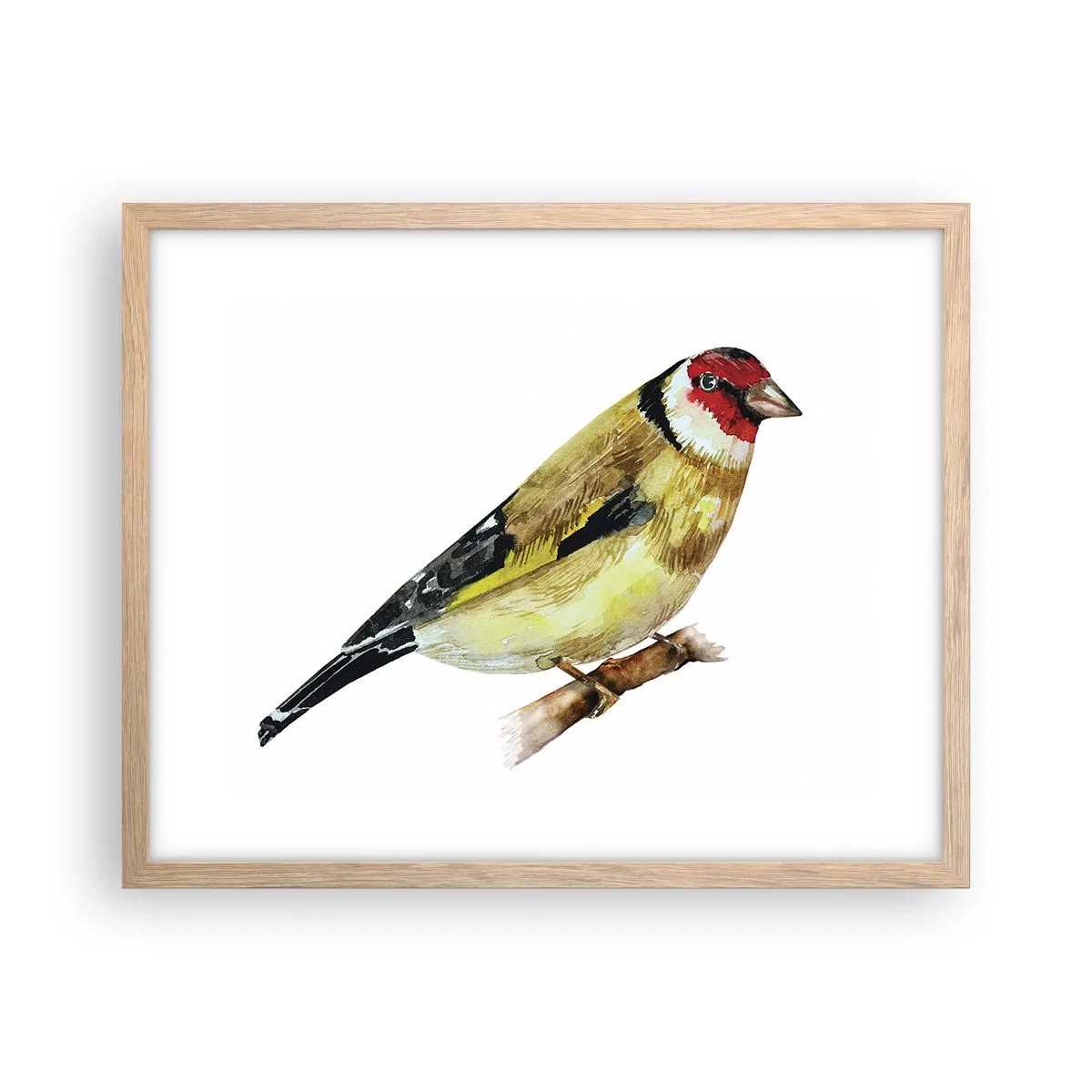Affisch i ram av ljusek - Fågelporträtt - 50x40 cm