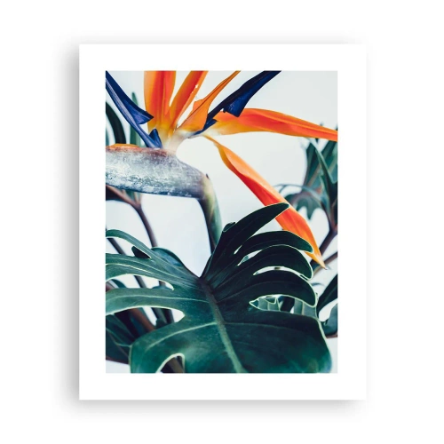 Affisch - Fågelbuske - 40x50 cm