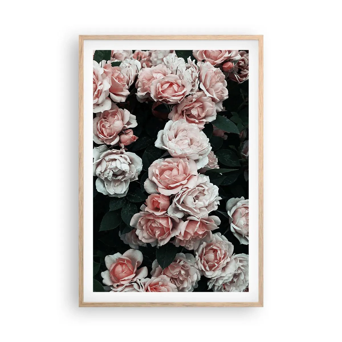 Affisch i ram av ljusek - Rosansamble - 61x91 cm