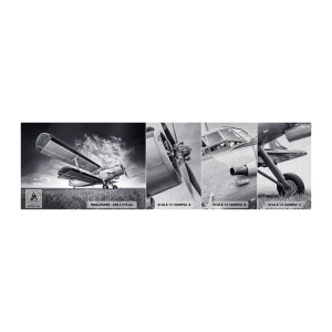 Provbit av fototapet Premium Sand - Bevingad vandrare - Plan, Flygplan, Svartvitt - 100x30 cm