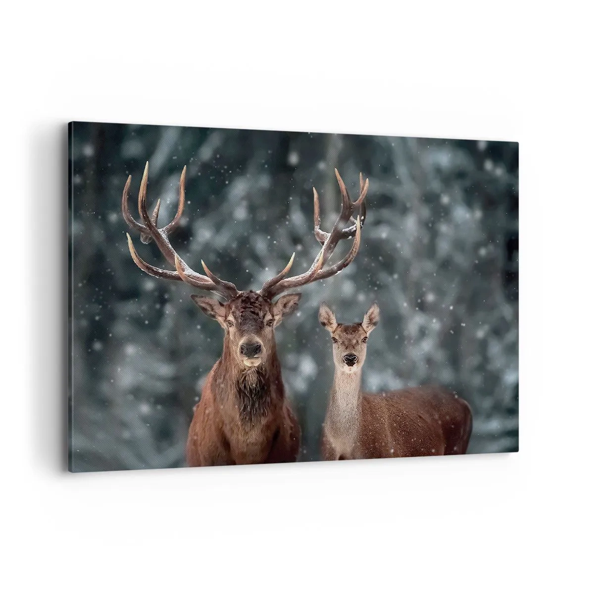 Canvastavla - Bild på duk - Skogens herre med hustrun - 100x70 cm