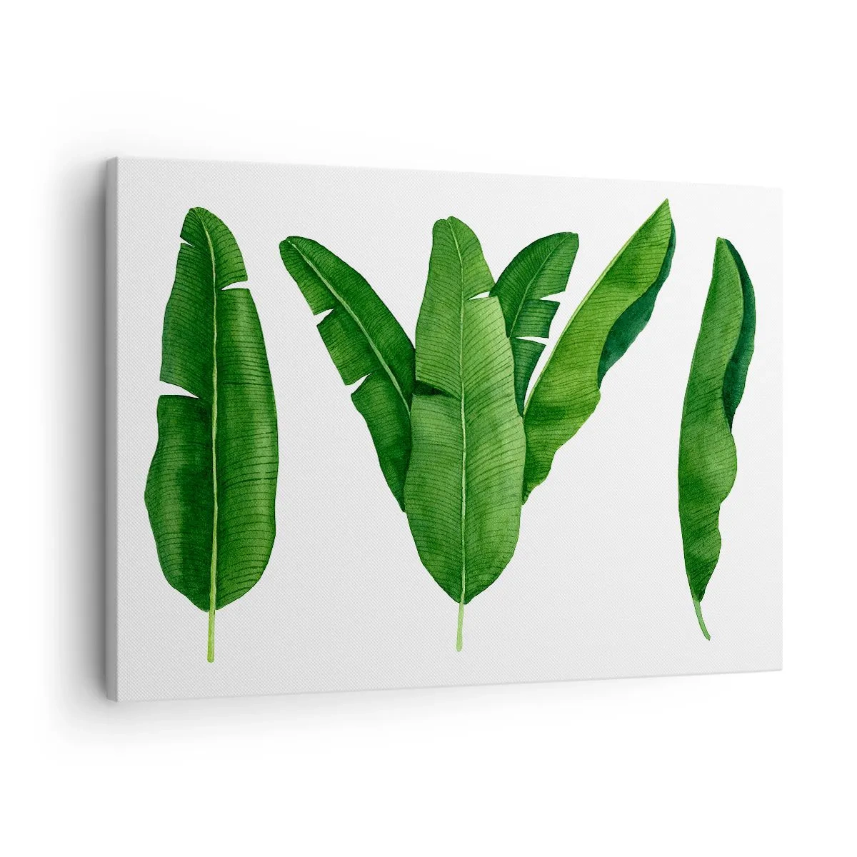 Canvastavla - Bild på duk - Tre bananblad i ett konstnärligt tillvägagångssätt - 70x50cm - Grön symmetri - Modern väggdekoration för vardagsrum och sovrum ARTTOR