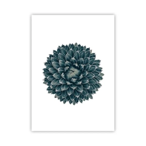 Affisch - Öknens stjärna - 50x70 cm