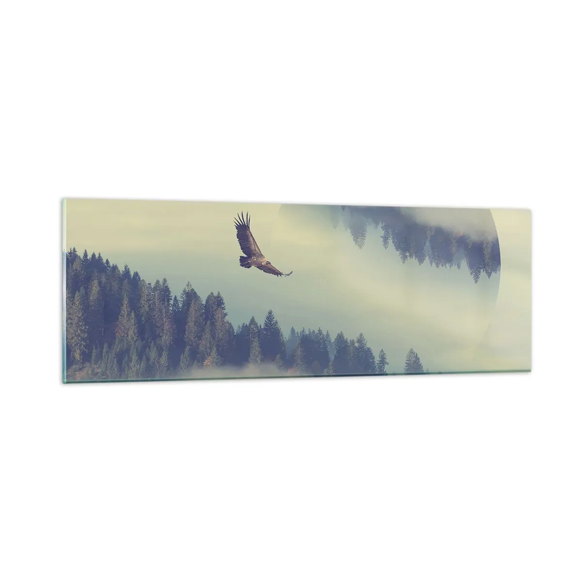 Glastavla - Bild på glas - Örnens skugga - 90x30 cm