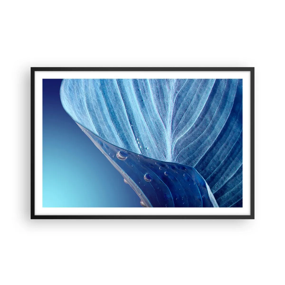 Affisch i svart ram - Dolda droppar av blått - 91x61 cm