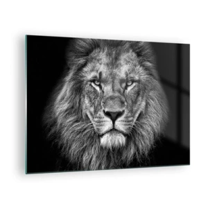 Glastavla - Bild på glas - Porträtt av ett lejon i svartvitt med majestätisk man - 70x50cm - I kröningskläder - Modern väggdekoration för vardagsrum och sovrum ARTTOR