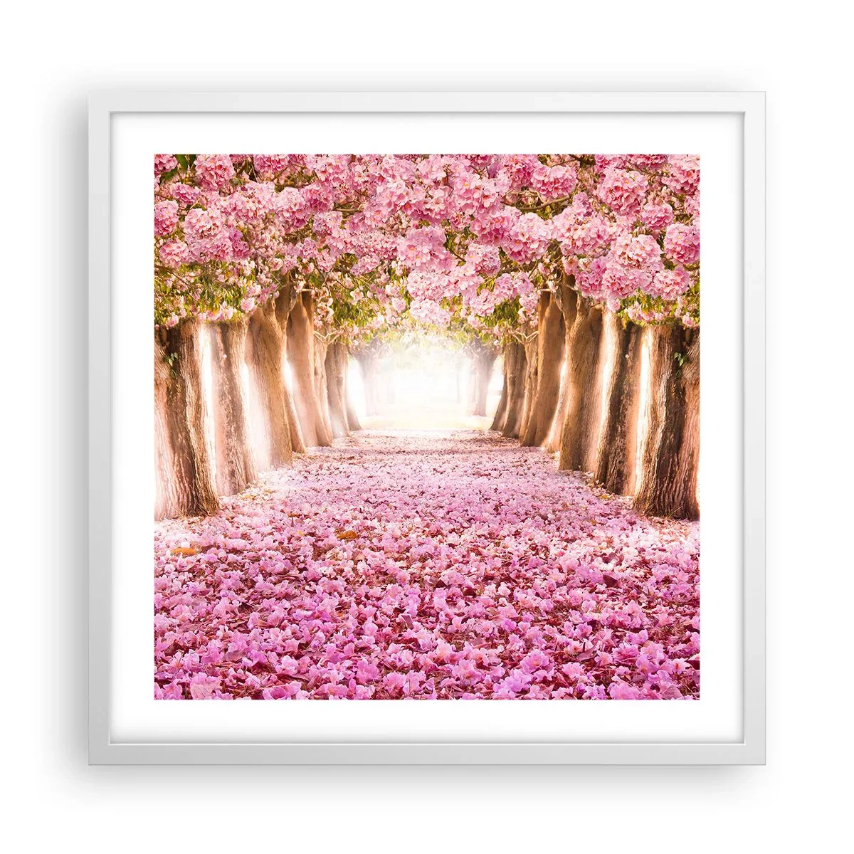 Affisch i vit ram - Vägen till paradiset - 50x50 cm