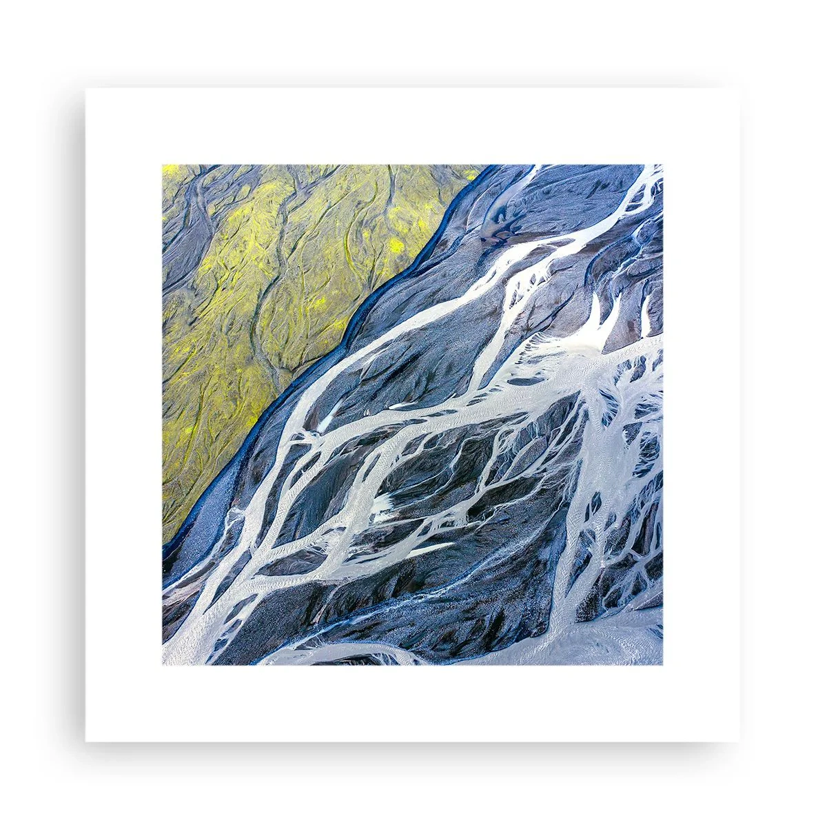 Affisch - Naturens grottmålningar - 30x30 cm