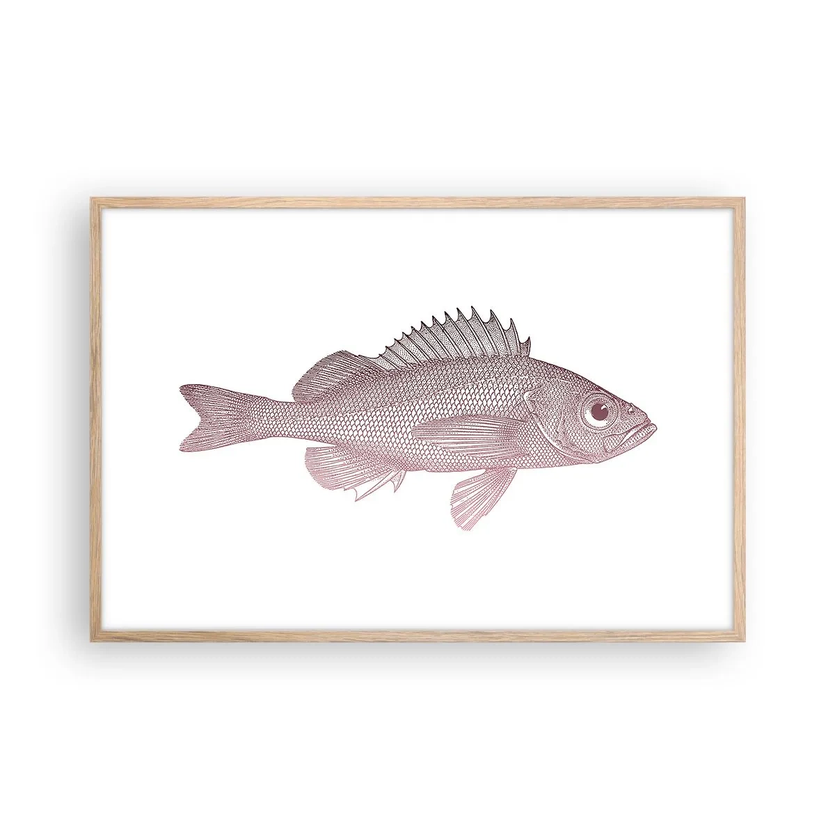 Affisch i ram av ljusek - Storögd fisk - 91x61 cm