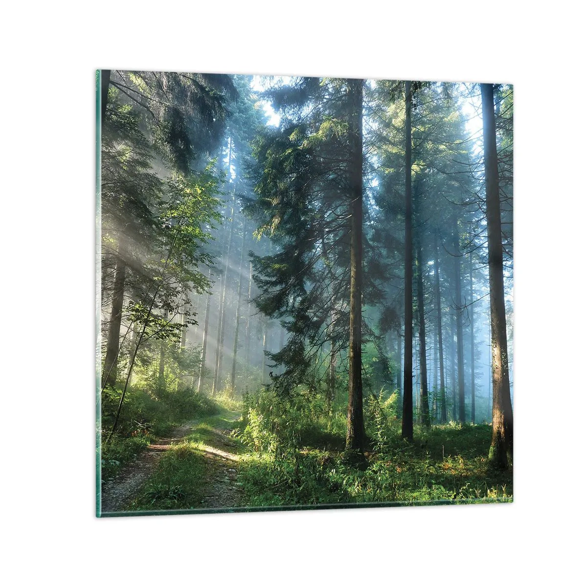 Glastavla - Bild på glas - Strålande på morgonen - 70x70 cm