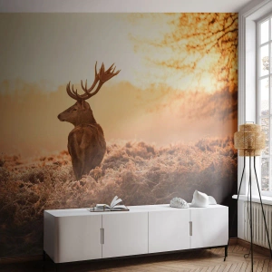 Fototapet Standard Eco - Hjort i solnedgångens gyllene ljus - 100x70cm - Herre på godset - Modern väggdekoration för vardagsrum och sovrum ARTTOR