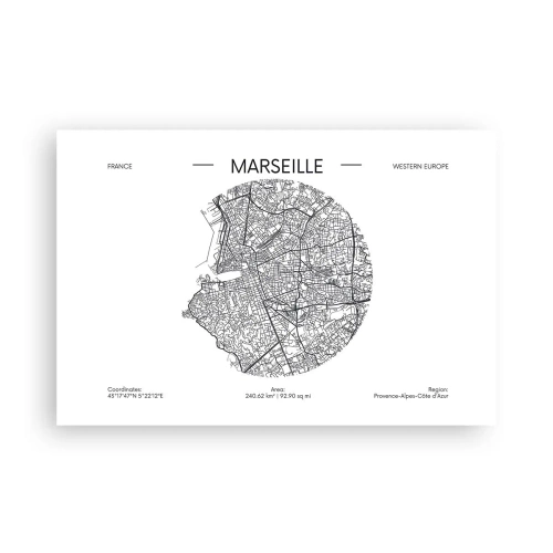 Affisch - Marseilles anatomi - 91x61 cm