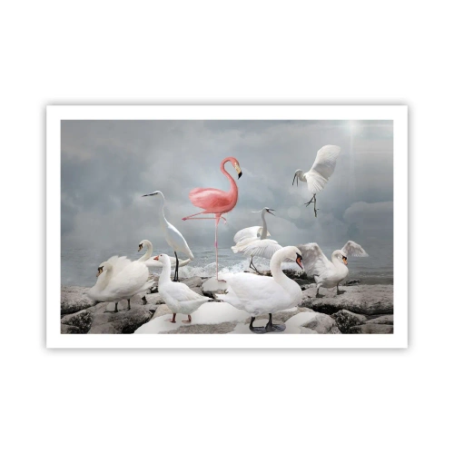 Affisch - Hur har jag hamnat här? - 91x61 cm