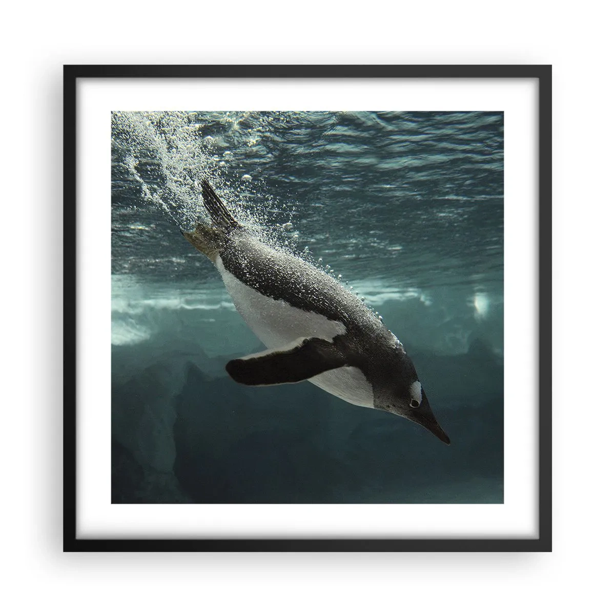 Affisch i svart ram - Välkommen till min värld - 50x50 cm