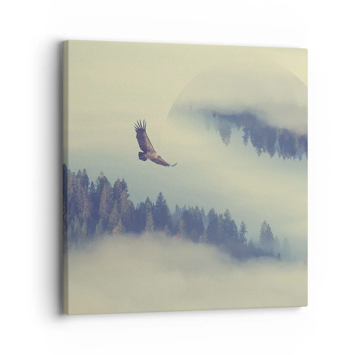 Canvastavla - Bild på duk - Örnens skugga - 30x30 cm