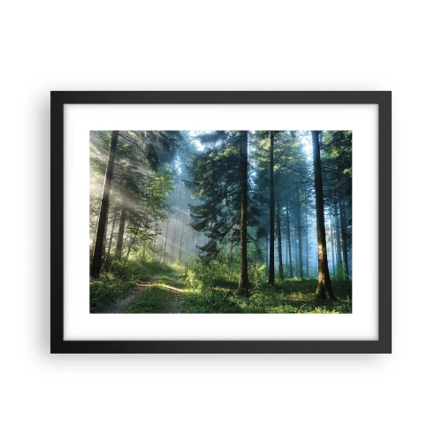 Affisch i svart ram - Strålande på morgonen - 40x30 cm