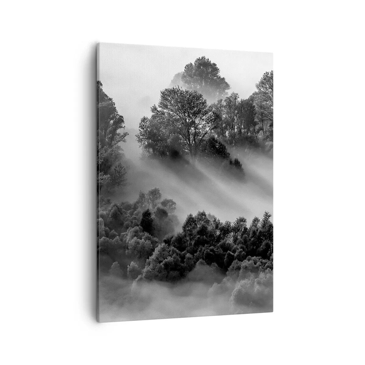 Canvastavla - Bild på duk - Stiger ur sömnen - 50x70 cm