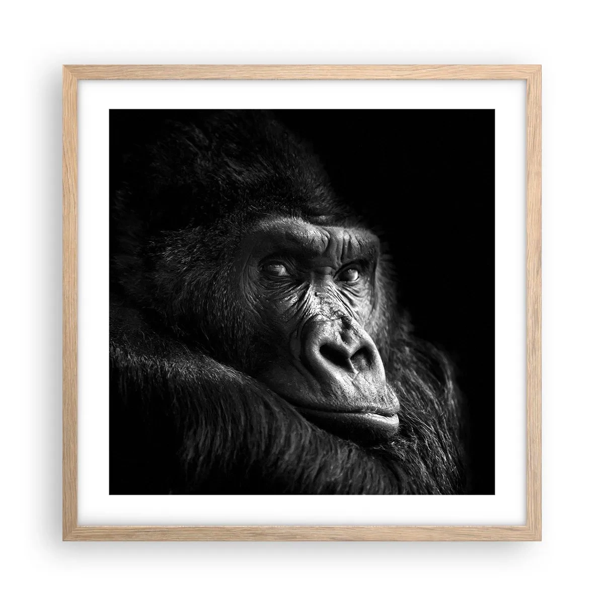 Affisch i ram av ljusek - Varför glor du? - 50x50 cm