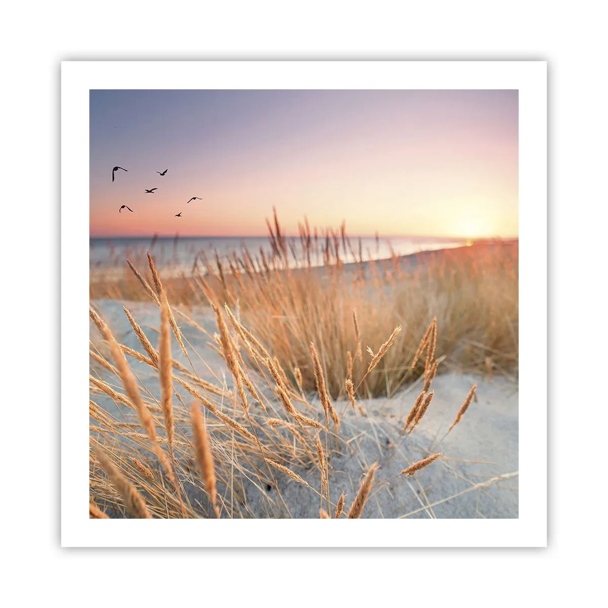 Affisch - Östersjövaggvisa - 60x60 cm