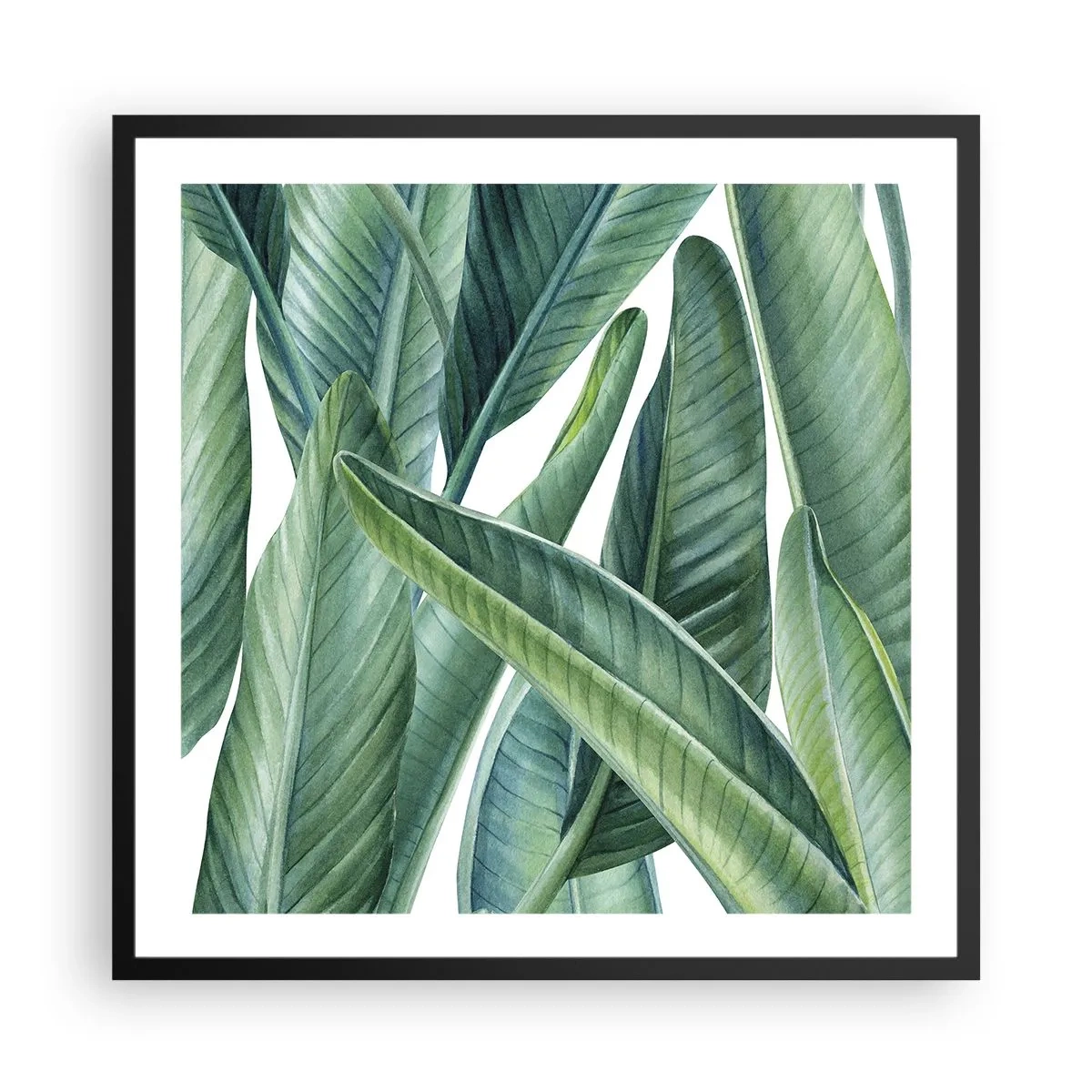 Affisch i svart ram - Grönskan i sig själv - 60x60 cm