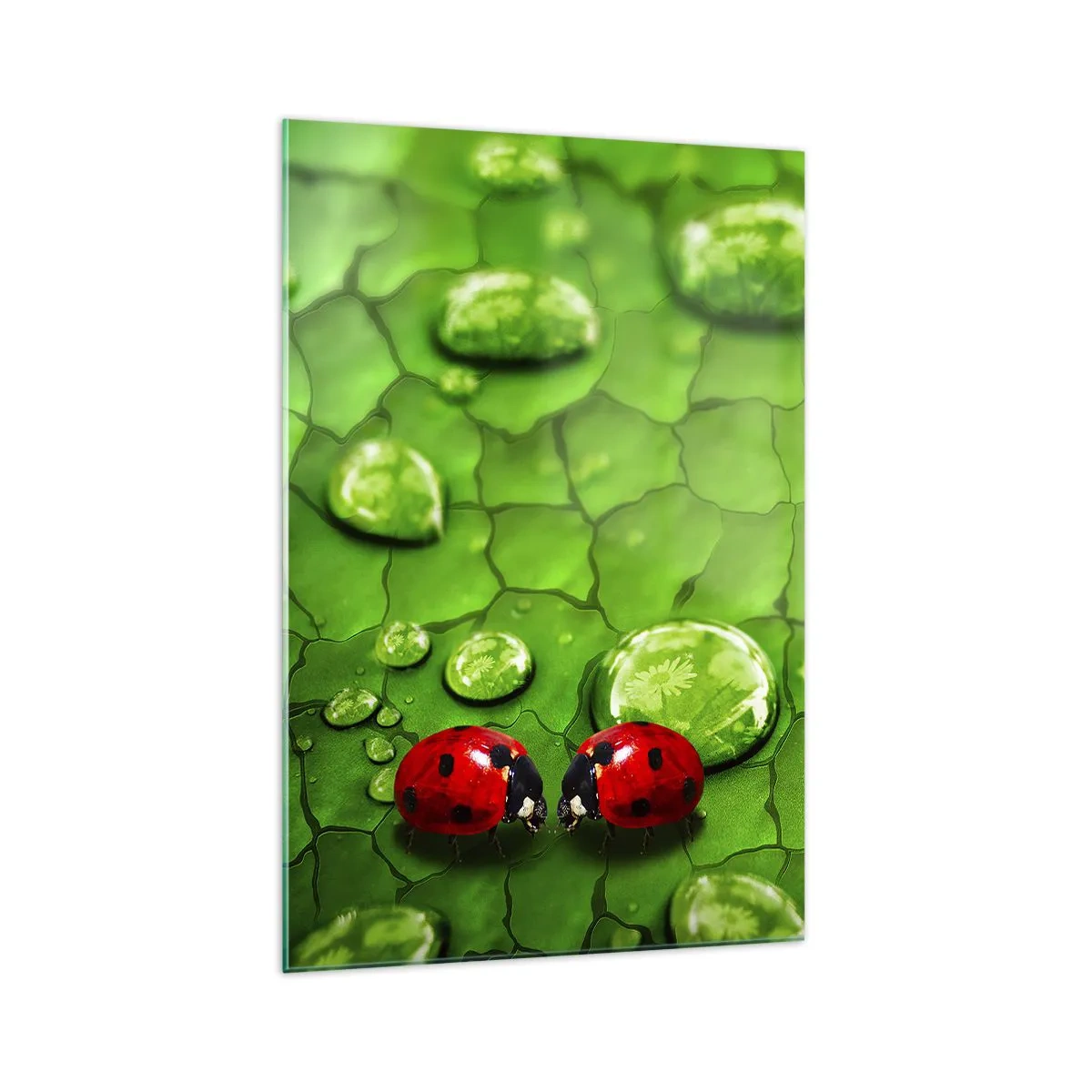 Glastavla - Bild på glas - Ett möte i det gröna - 70x100 cm