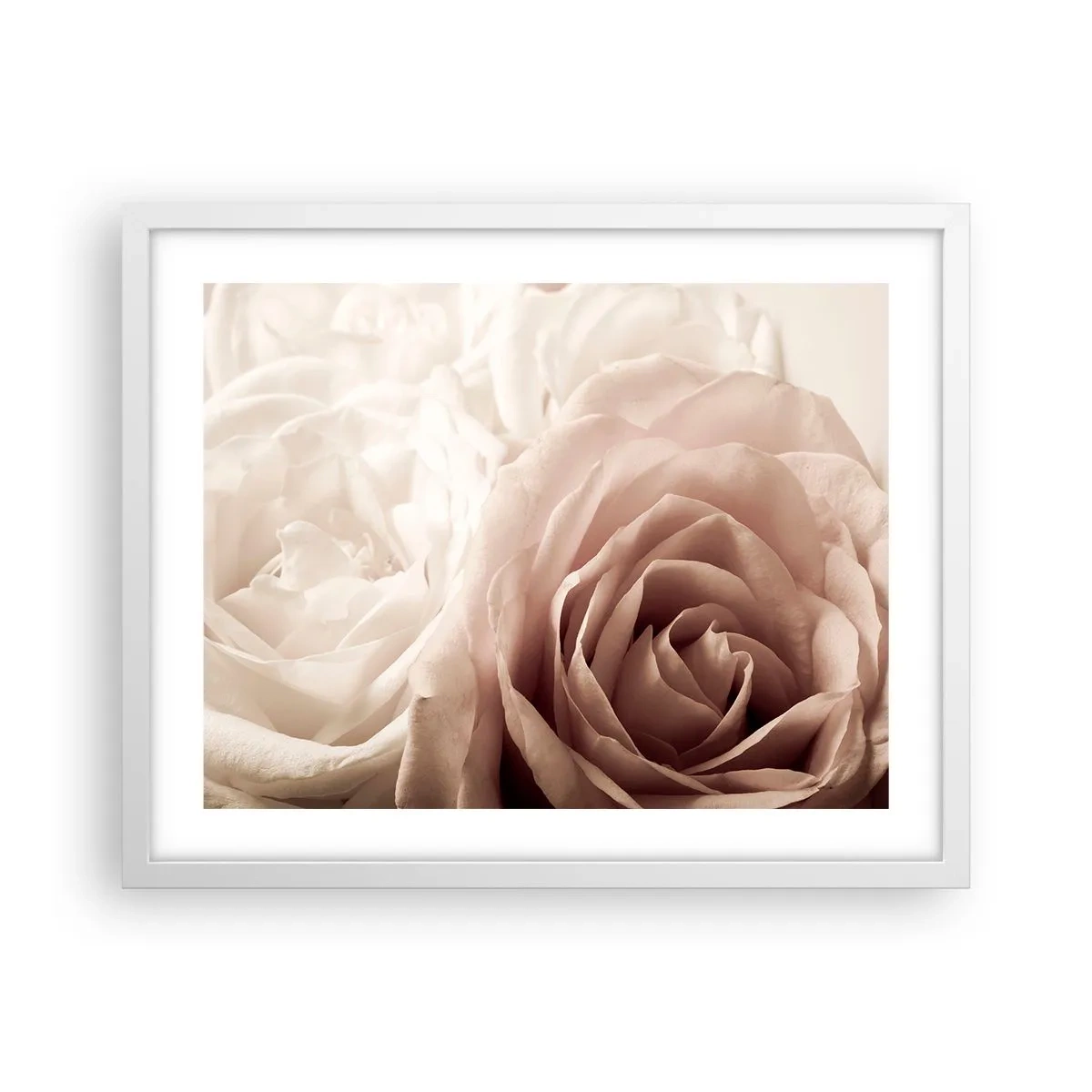 Affisch i vit ram - I hjärtat av en ros - 50x40 cm