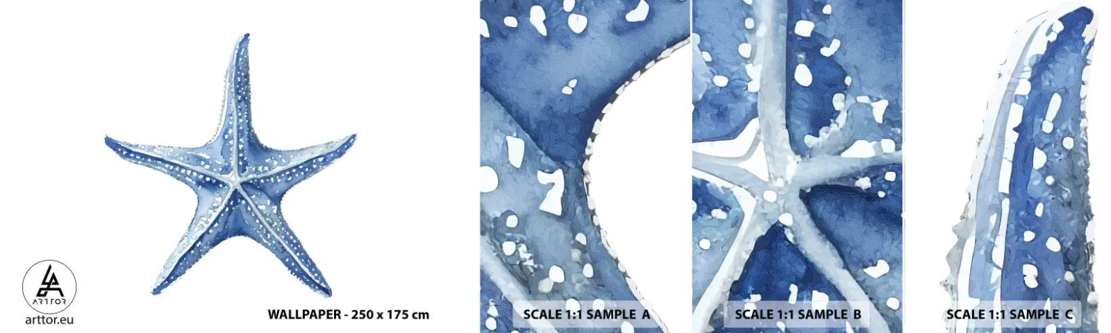 Fototapet Prov Standard Eco - Havets stjärna - Sjöstjärna, Seaside, korallrev - 100x30 cm