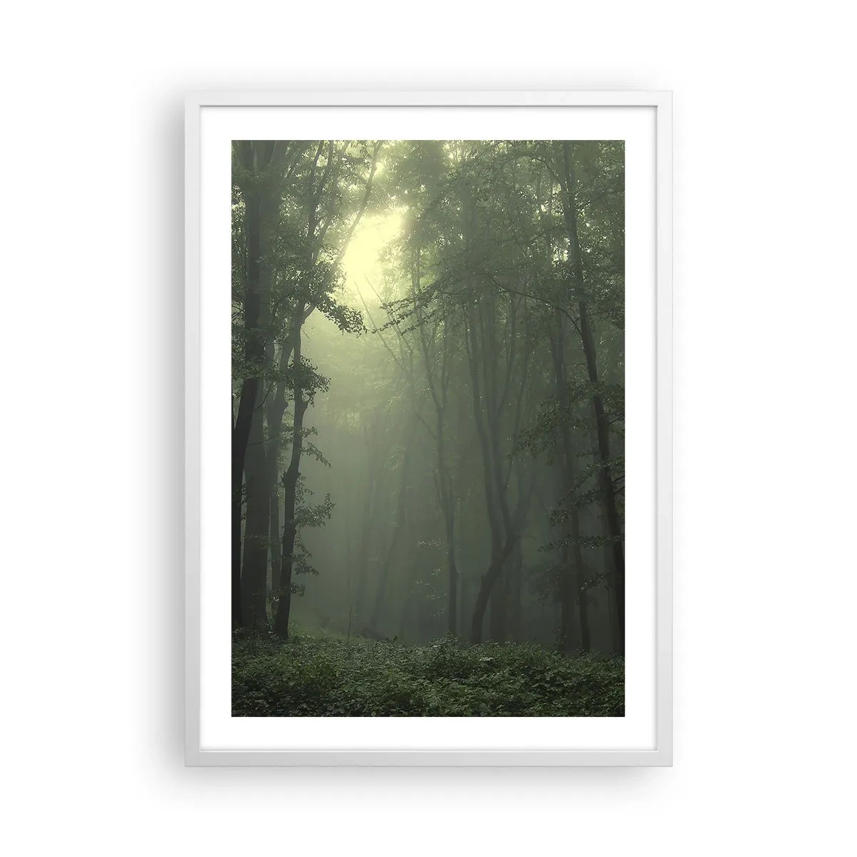 Affisch i vit ram - Innan skogen vaknar - 50x70 cm