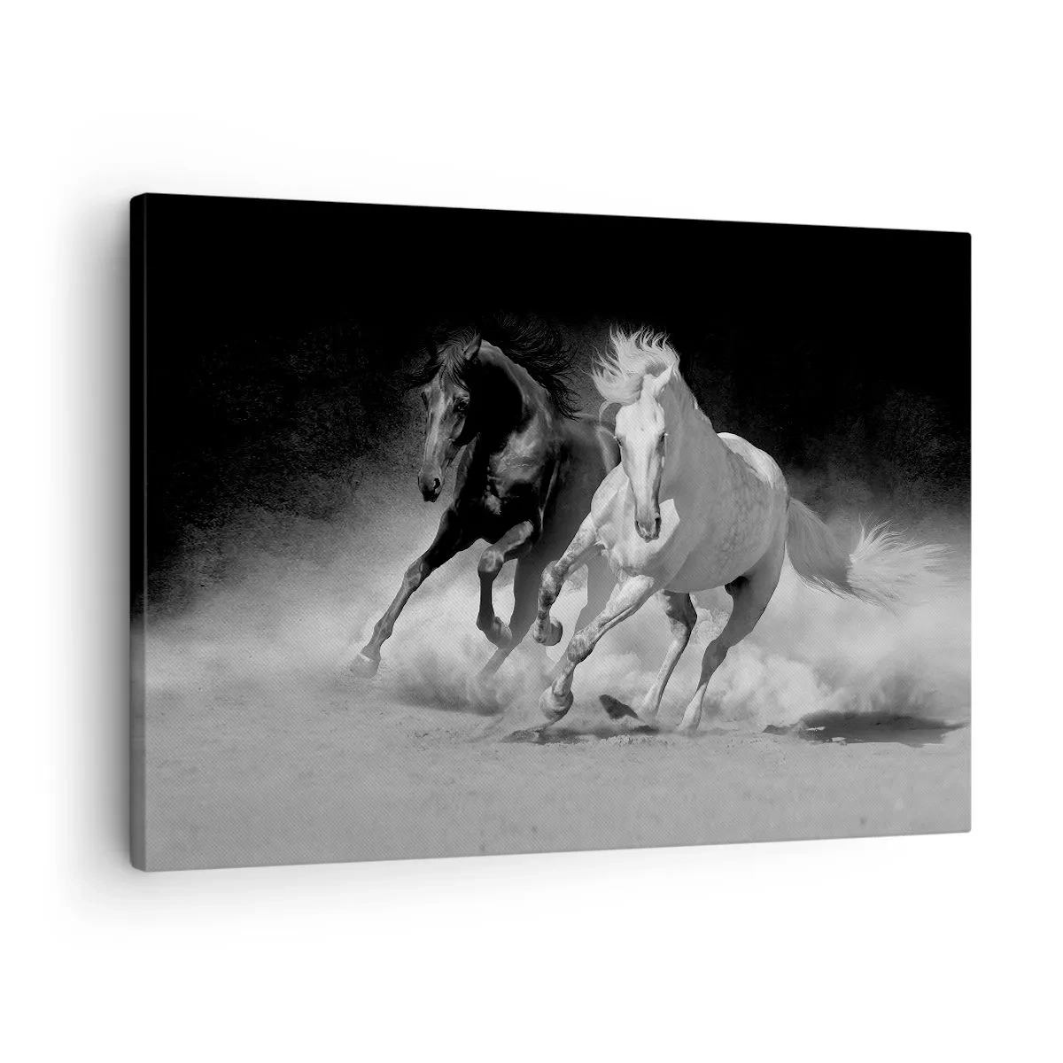 Canvastavla - Bild på duk - Springande hästar i svart och vitt - 70x50cm - Frihetens galopp - Modern väggdekoration för vardagsrum och sovrum ARTTOR