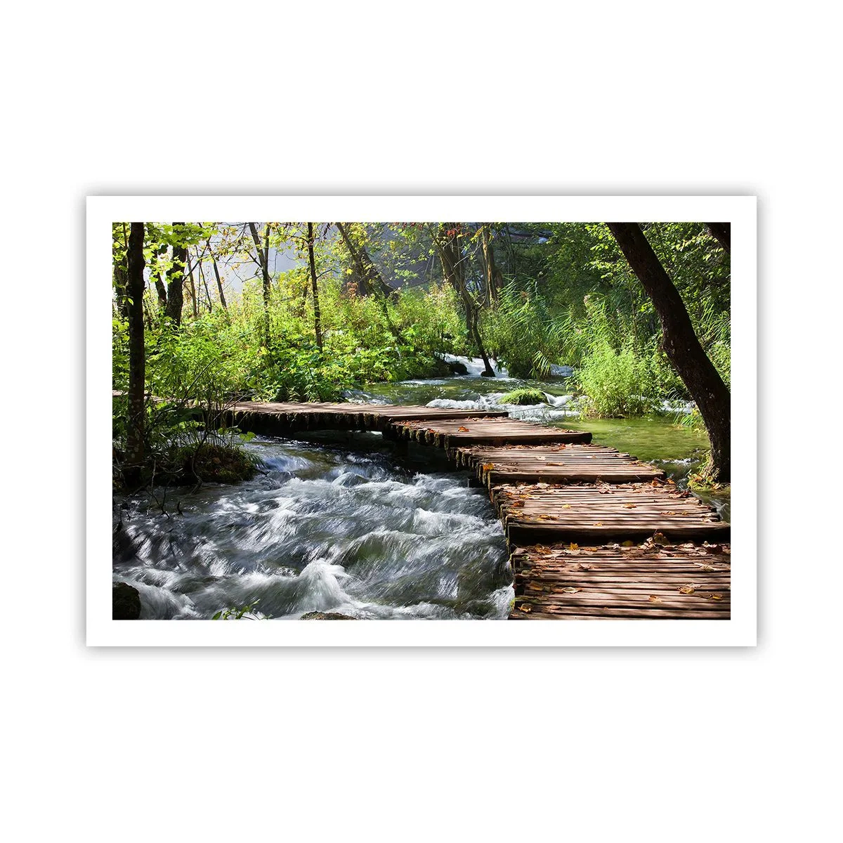 Affisch - Över skummande kaskad - 91x61 cm