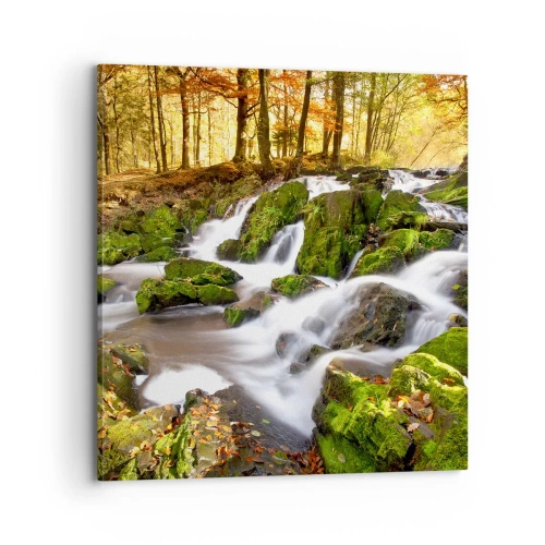 Canvastavla - Bild på duk - Kvickt genom höstskogen - 70x70 cm