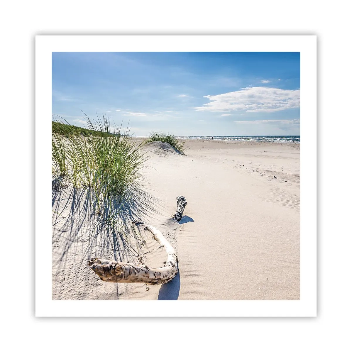 Affisch - Vackrast? Östersjöstrand - 60x60 cm