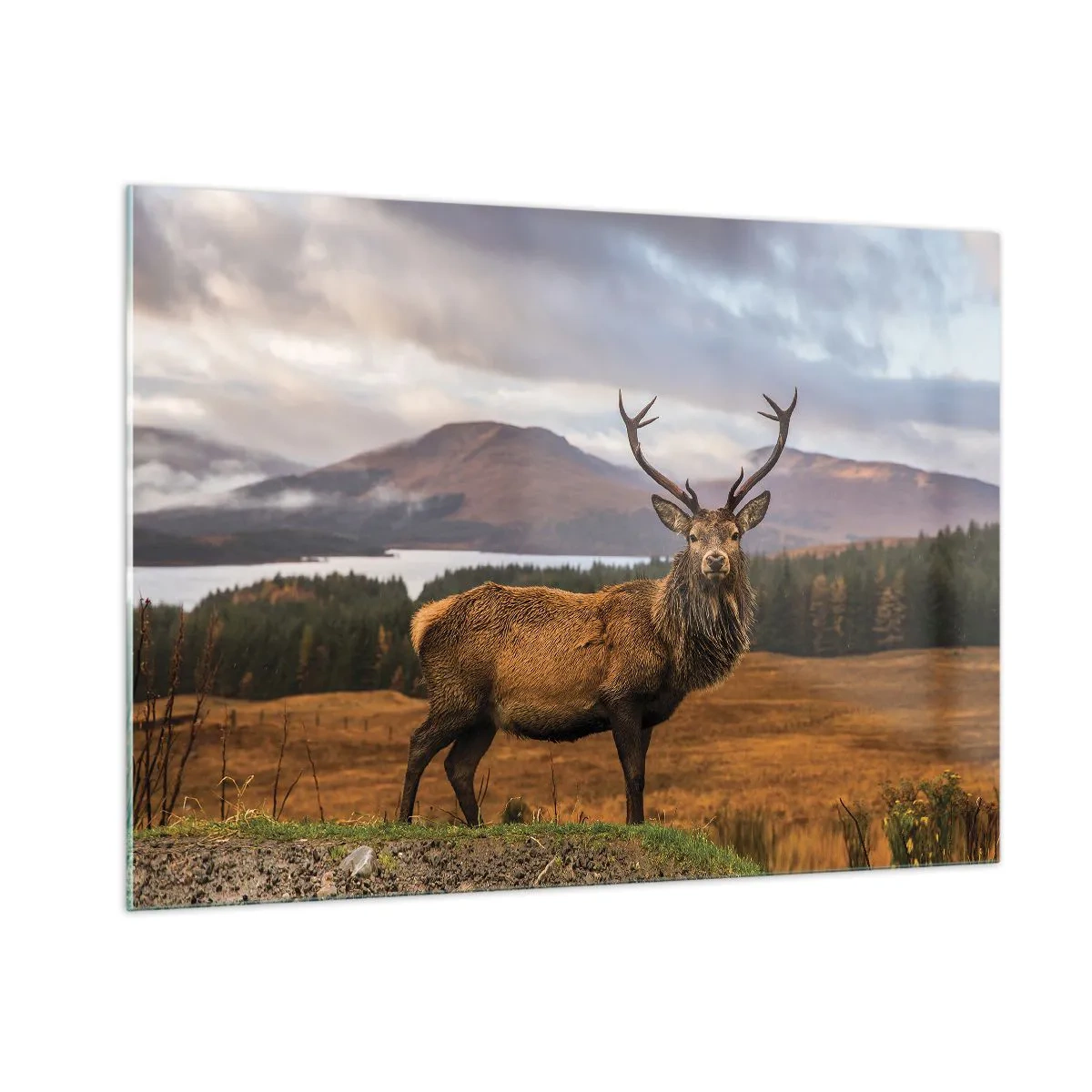 Glastavla - Bild på glas - Naturens majestät - 100x70 cm