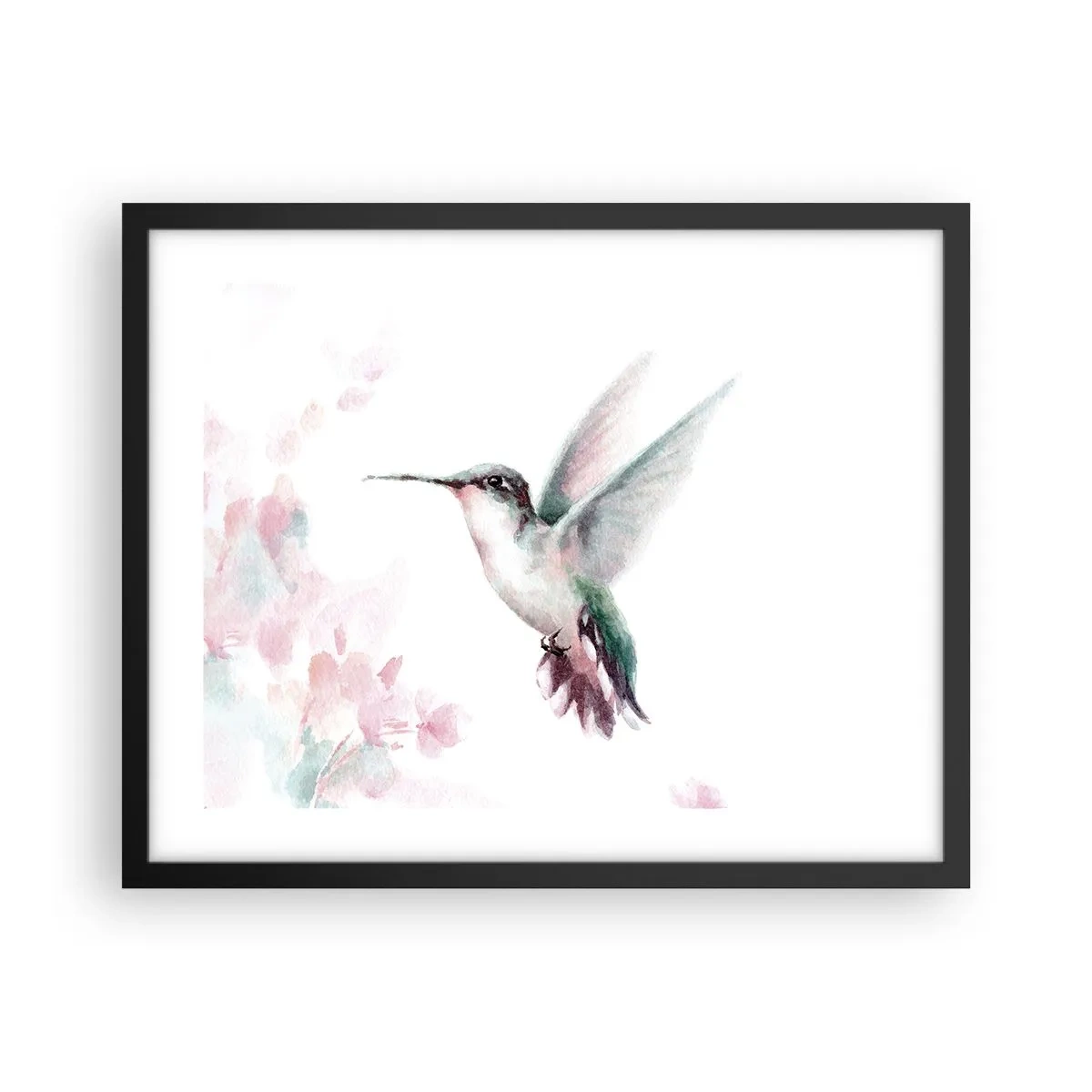 Affisch i svart ram - Fångad flaxande - 50x40 cm