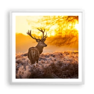 Affisch i vit ram - Höstskogens kung - 60x60 cm