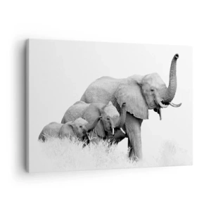 Canvastavla - Bild på duk - En familj elefanter mot ett afrikanskt landskap i svartvitt. - 70x50cm - Ett, två, tre - Modern väggdekoration för vardagsrum och sovrum ARTTOR