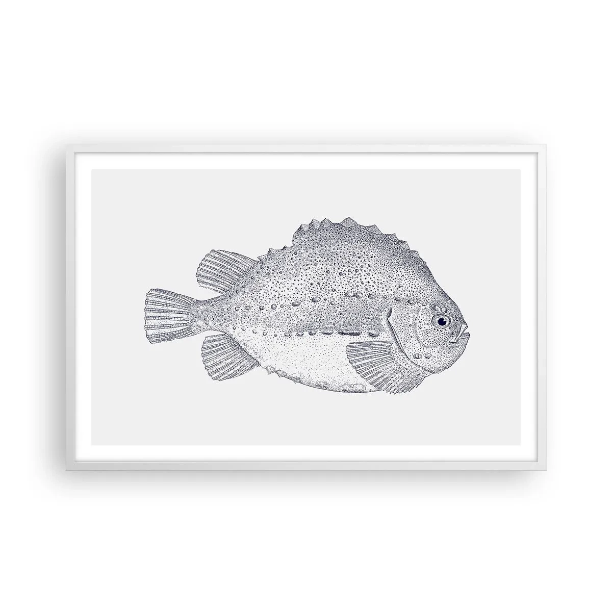 Affisch i vit ram - Till naturforskarens album - 91x61 cm