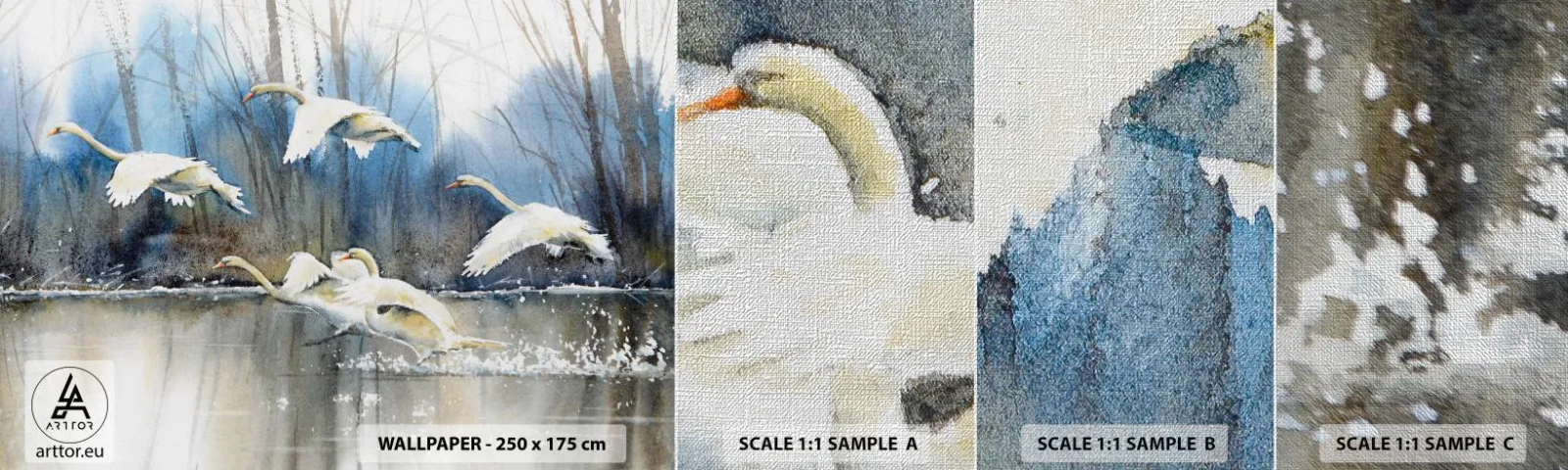 Provbit av fototapet Premium Canvas - Som i en saga om vilda svanar - Svanar, Fåglar, Landskap - 100x30 cm