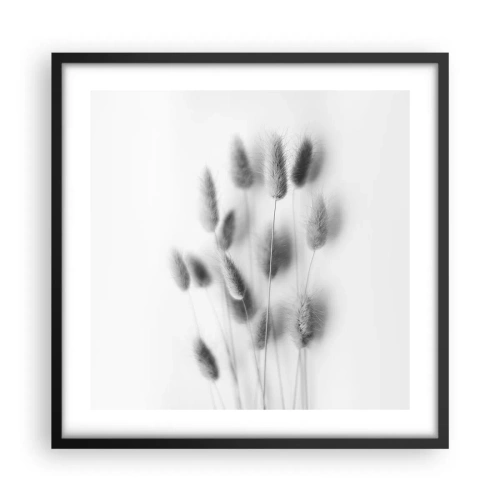 Affisch i svart ram - Fluffigt gräs - 50x50 cm